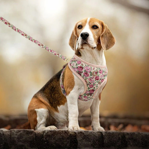 Floral Nylon Dog Vest Harness