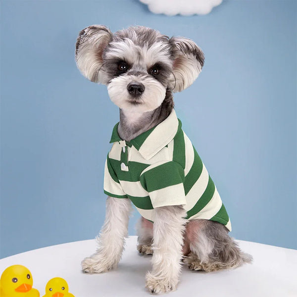 Striped Summer Dog Polo Shirt