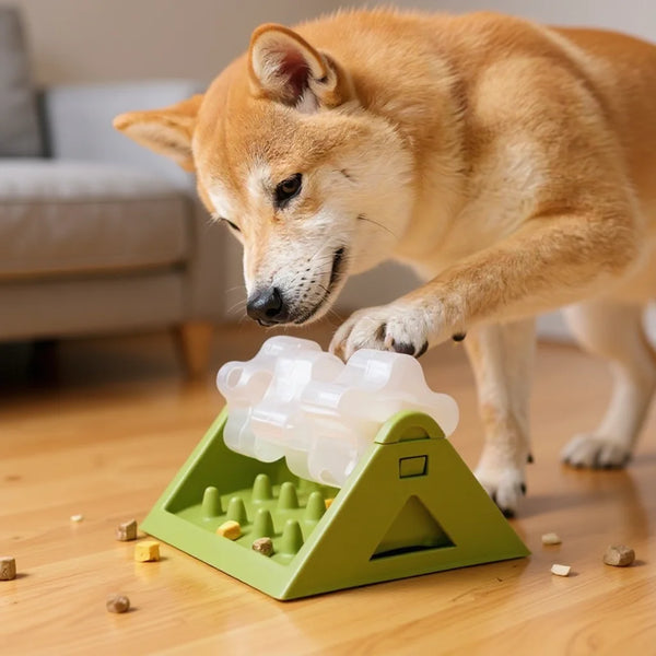 Interactive Slow Feeding Puzzle Toy