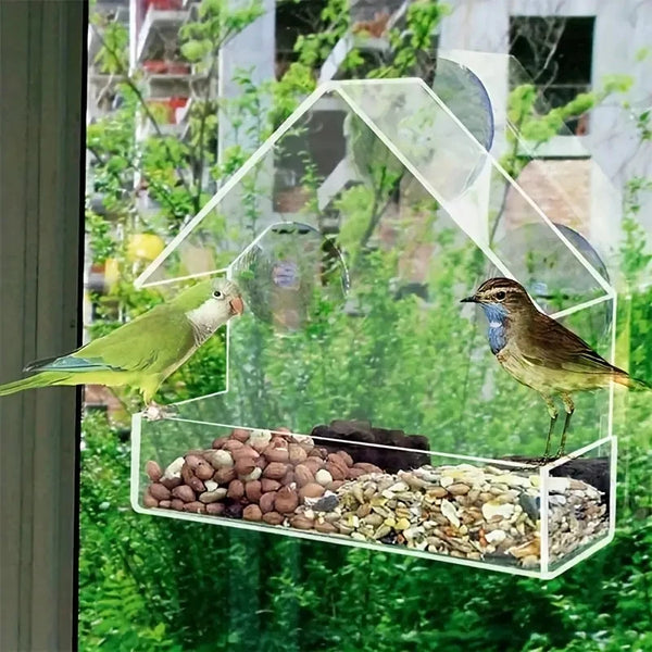 White Window Suction Bird Feeder