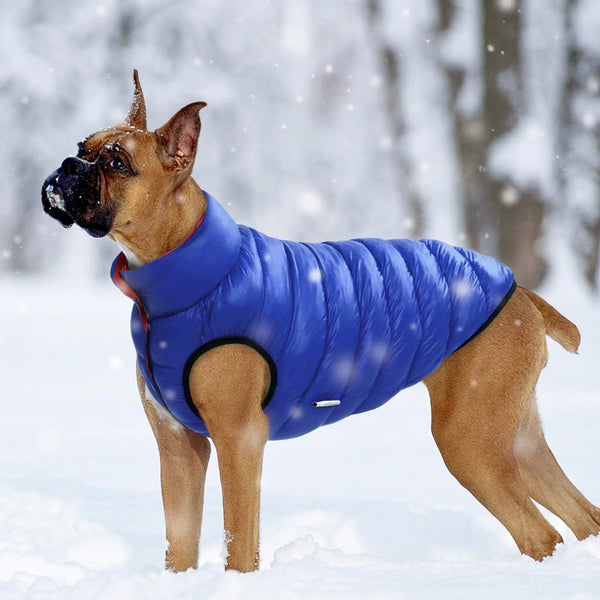 Reversible Three Layer Dog Vest