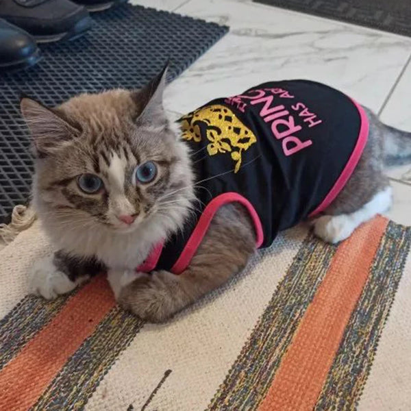 Printed Mesh Sphynx Cat Vest