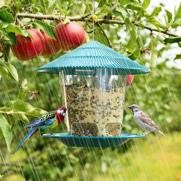 Hanging Outdoor Bird Seed Feeder