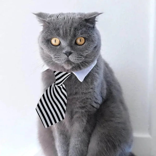 Adjustable Formal Pet Bow Tie