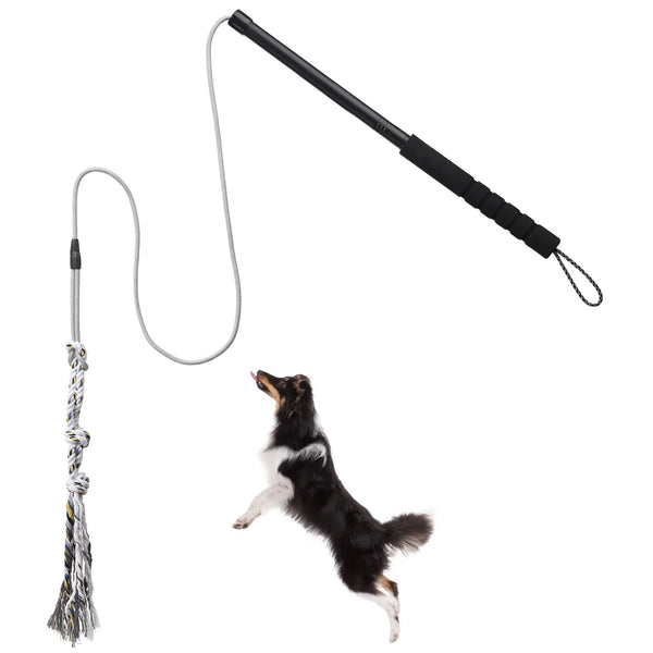 Interactive Dog Flirt Exercise Pole