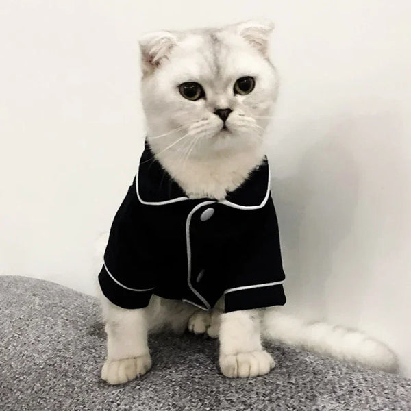 Christmas Cat Sweatshirt Hoodie Outfit