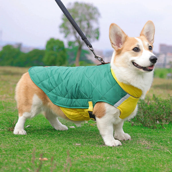 Padded Waterproof Winter Dog Vest