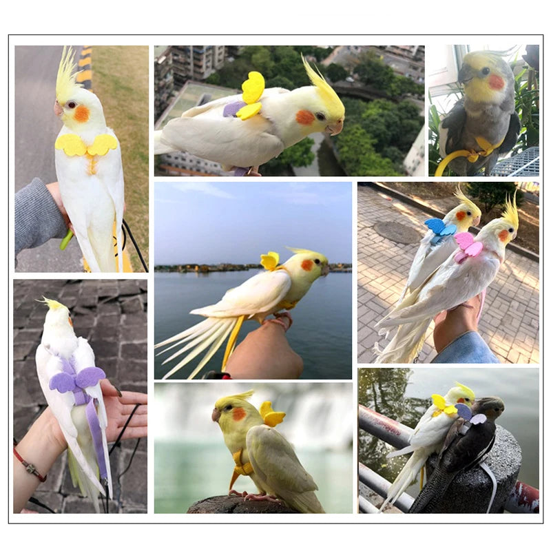 Adjustable Parrot Flight Training Harness