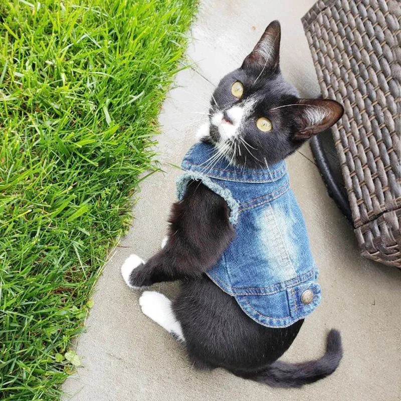 Casual Denim Cat Vest Jacket