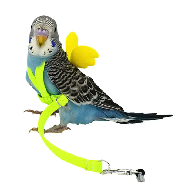 Adjustable Parrot Flight Training Harness