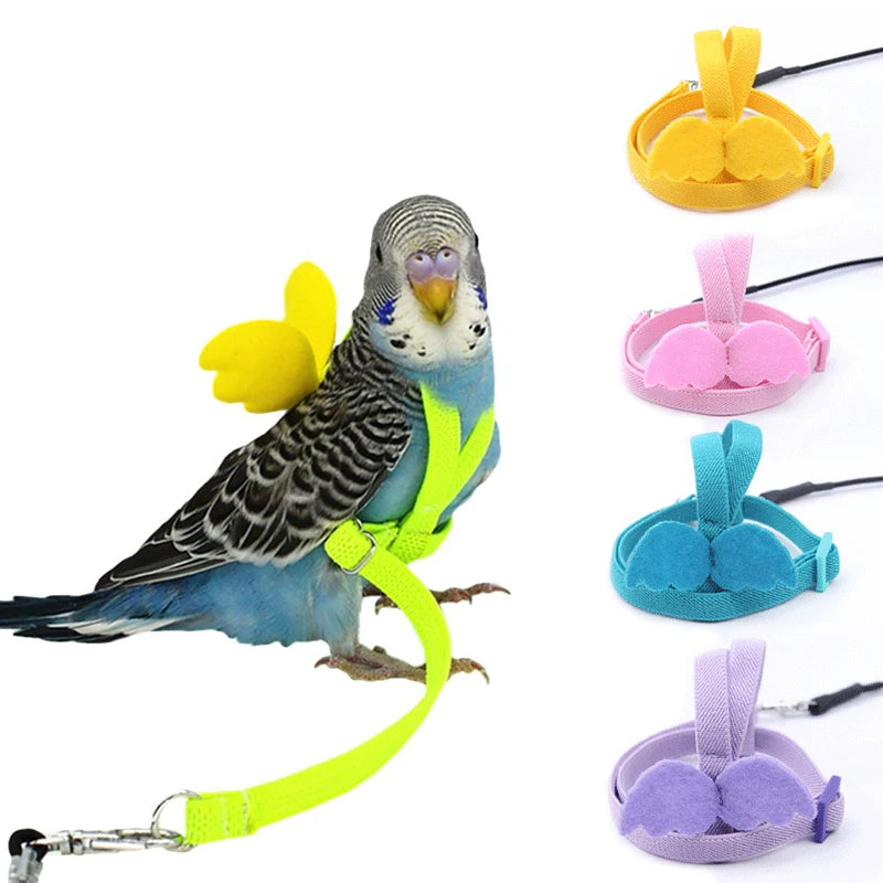 Adjustable Parrot Flight Training Harness