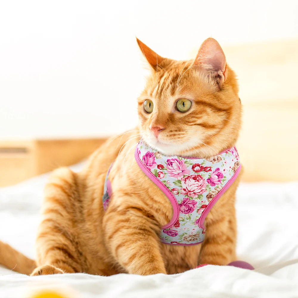 Floral Nylon Dog Vest Harness