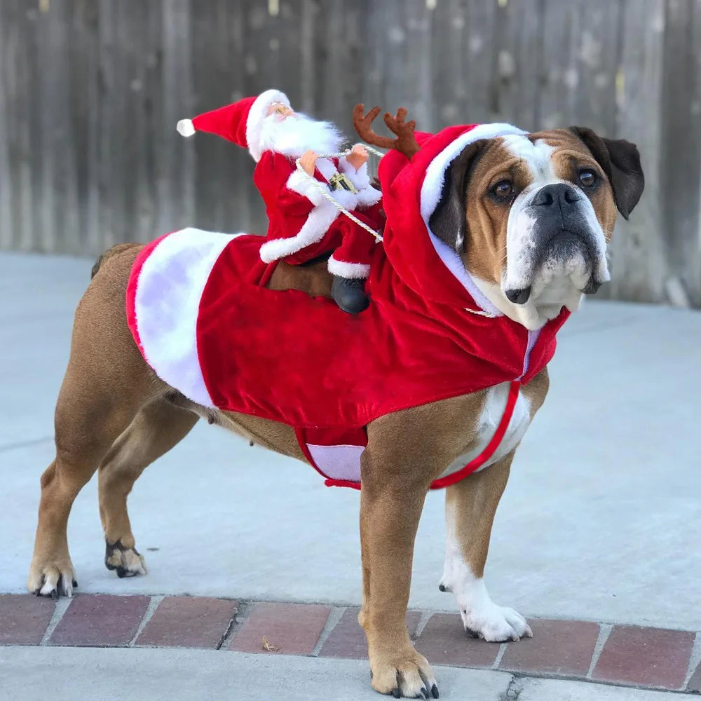 Festive Santa Dog Costume Outfit
