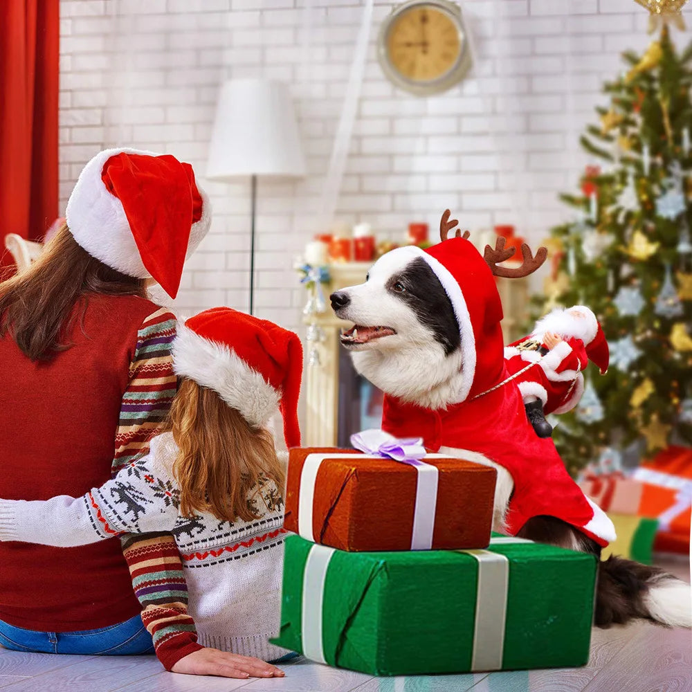 Festive Santa Dog Costume Outfit