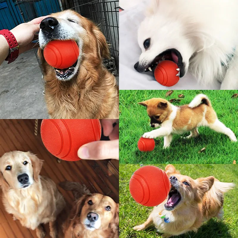 Durable Rubber Dog Play Ball