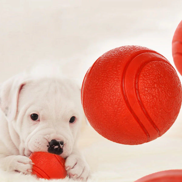 Durable Rubber Dog Play Ball