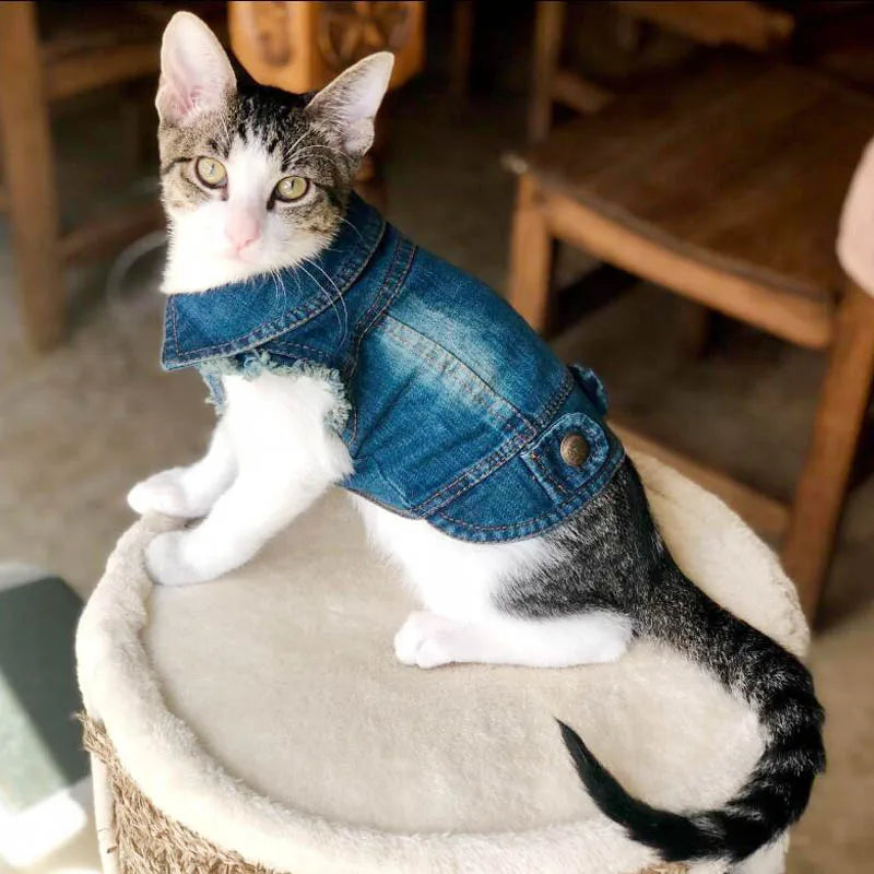 Casual Denim Cat Vest Jacket