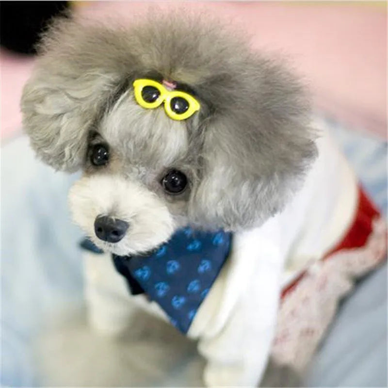 Heart Sunglasses Pet Hair Clips
