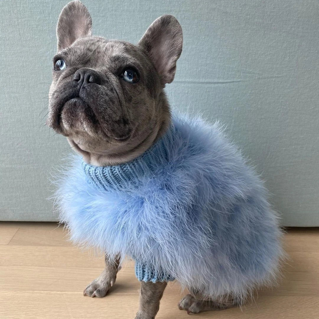Cozy Cotton Party Dog Sweater