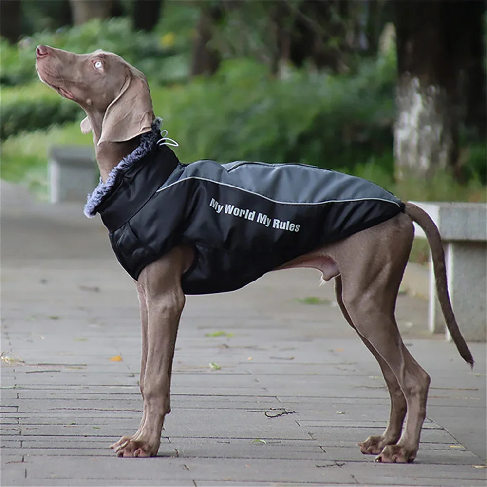 Insulated Fur Collar Dog Jacket