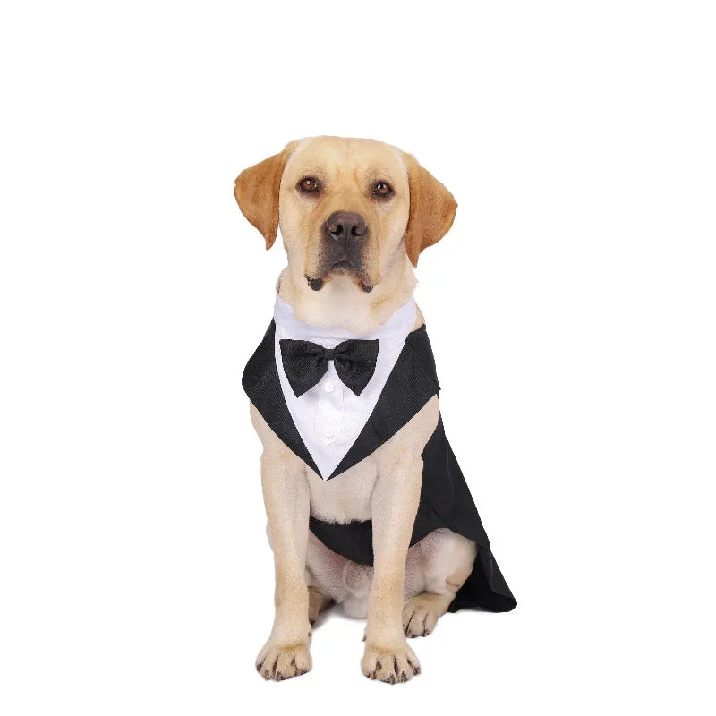 Formal Bow Tie Dog Tuxedo
