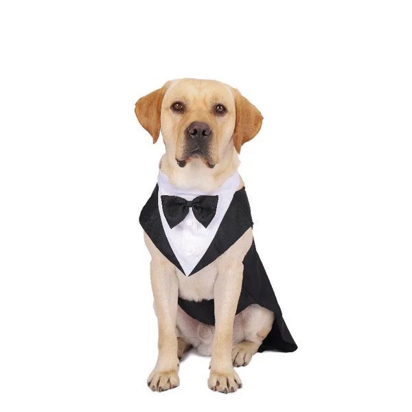 Formal Bow Tie Dog Tuxedo