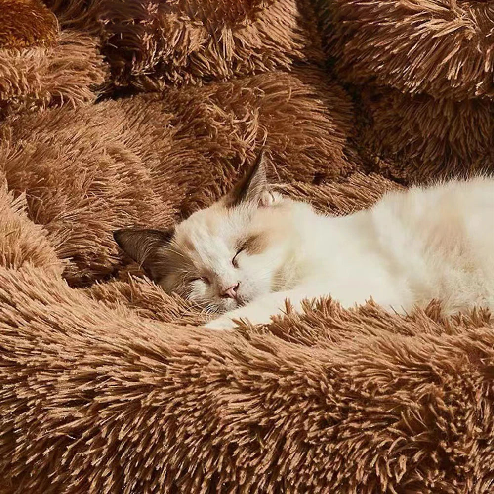 Warm Plush Dog Sofa Bed