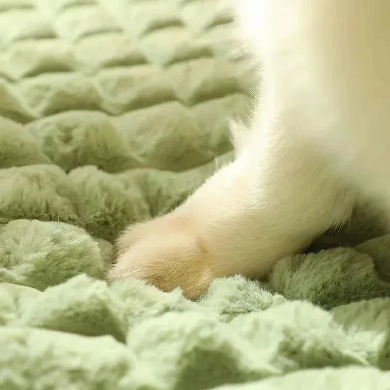 Washable Cotton Dog Bed Mat