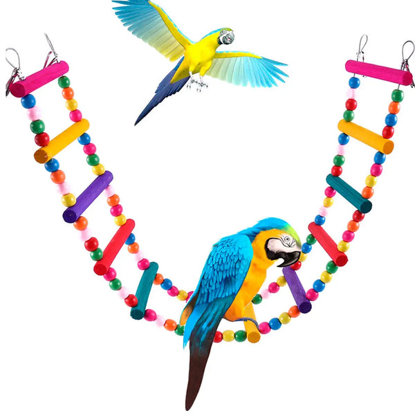 Colorful Twelve Step Bird Ladder
