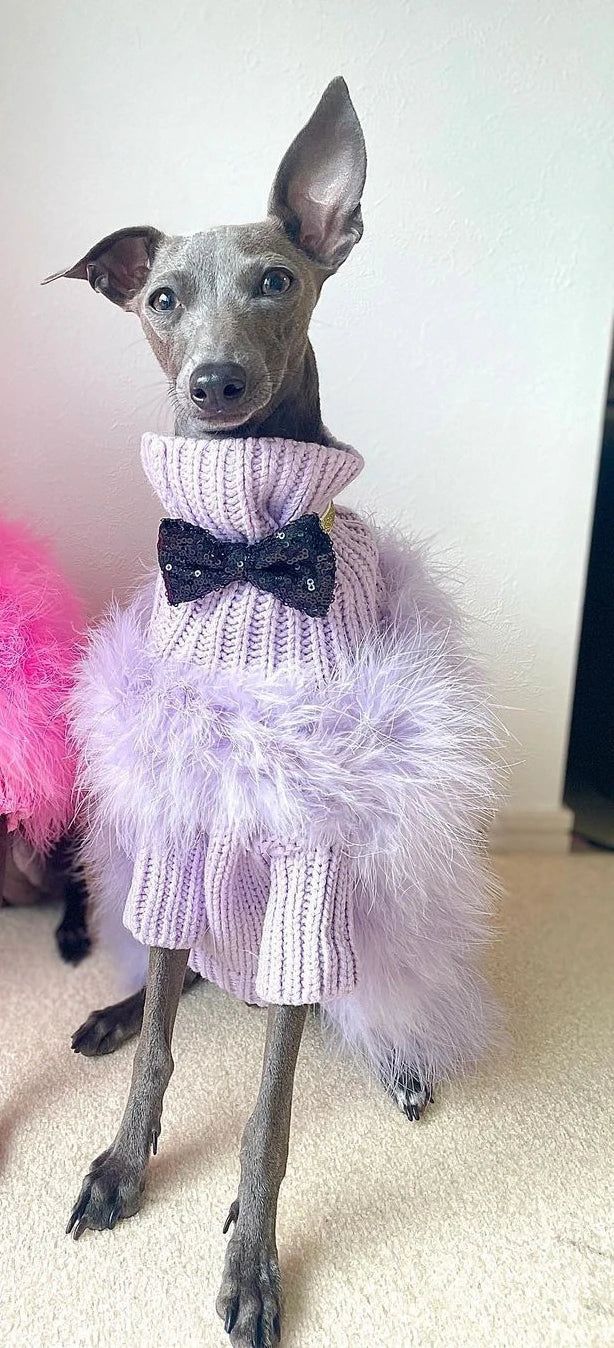 Cozy Cotton Party Dog Sweater