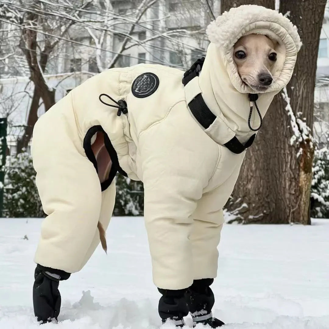 Thickened Cotton Greyhound Winter Jacket