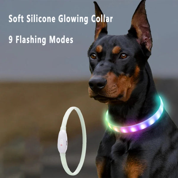 Rechargeable LED Glowing Dog Collar