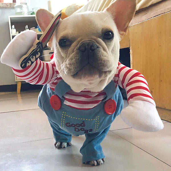 Striped Halloween Dog Costume Outfit
