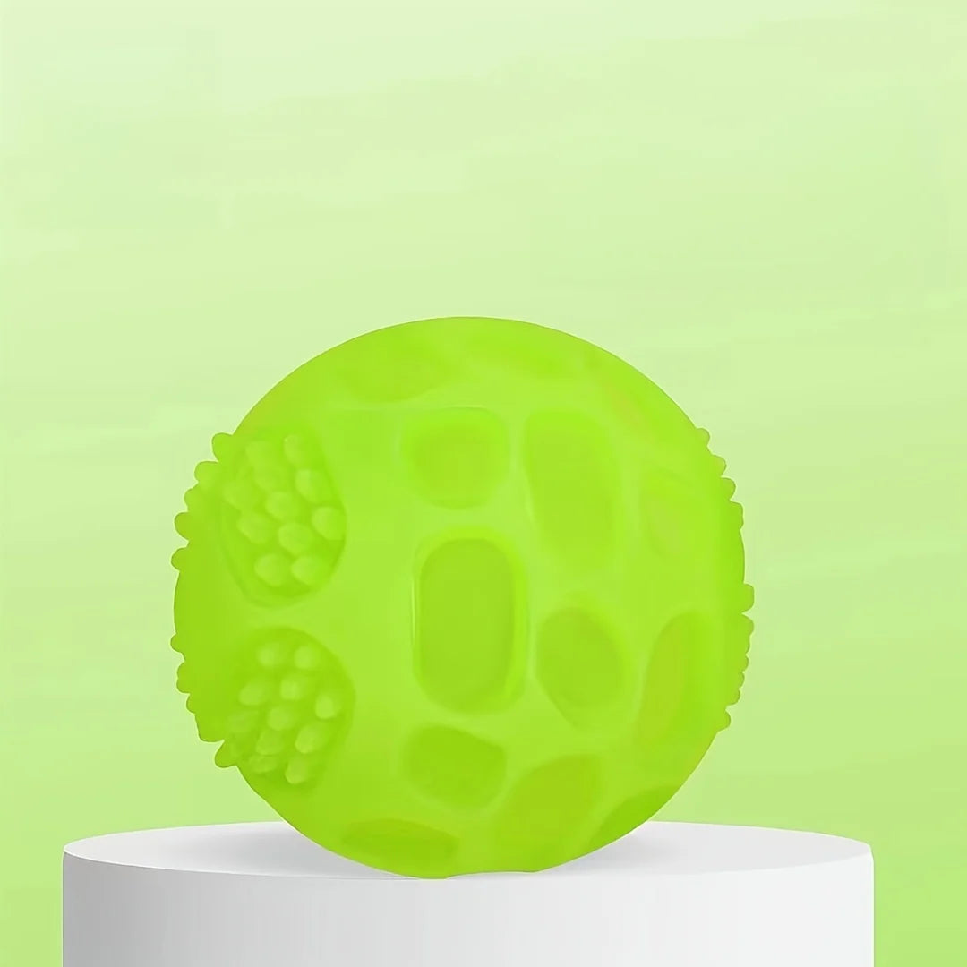 Glow In Dark Squeaky Ball
