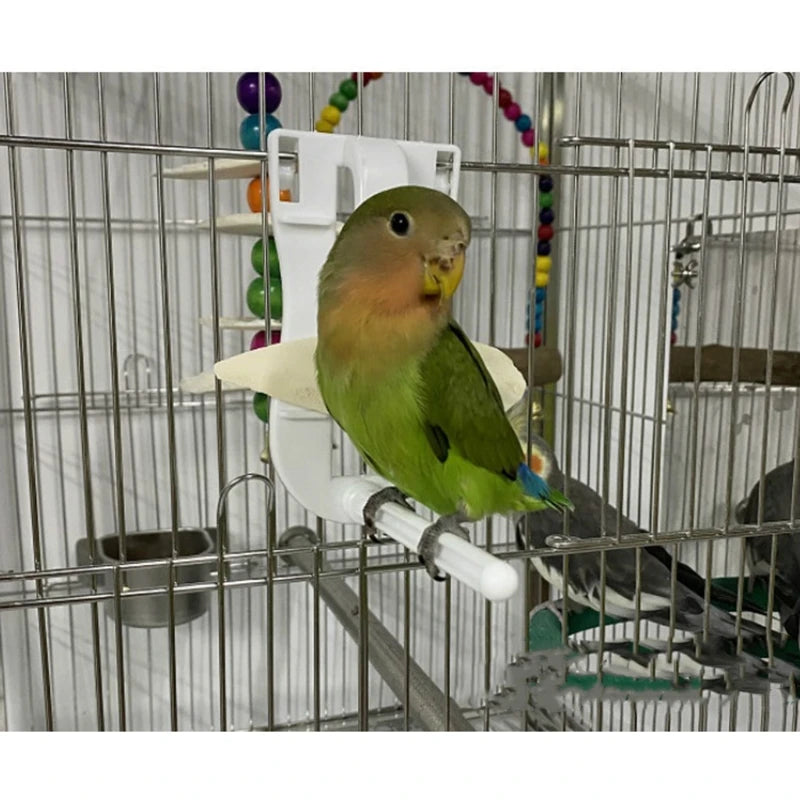 Clip On Bird Food Holder