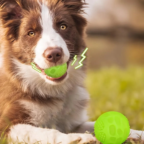Glow In Dark Squeaky Ball