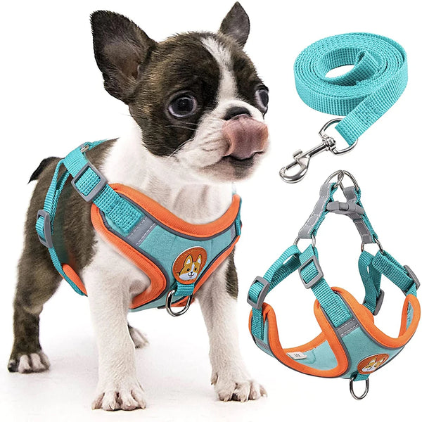 Reflective Step In Dog Harness