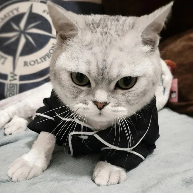 Christmas Cat Sweatshirt Hoodie Outfit