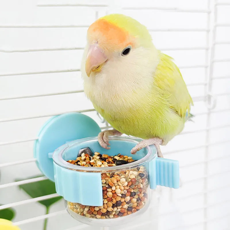 Birds: Supplies, Accessories and Care Essentials