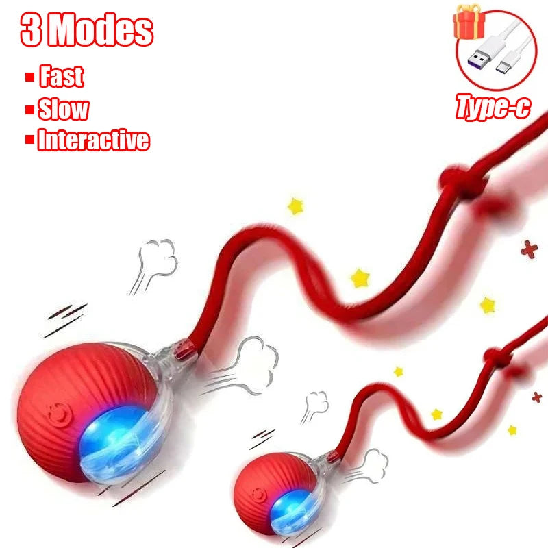 Rechargeable Rolling Cat Tail Ball
