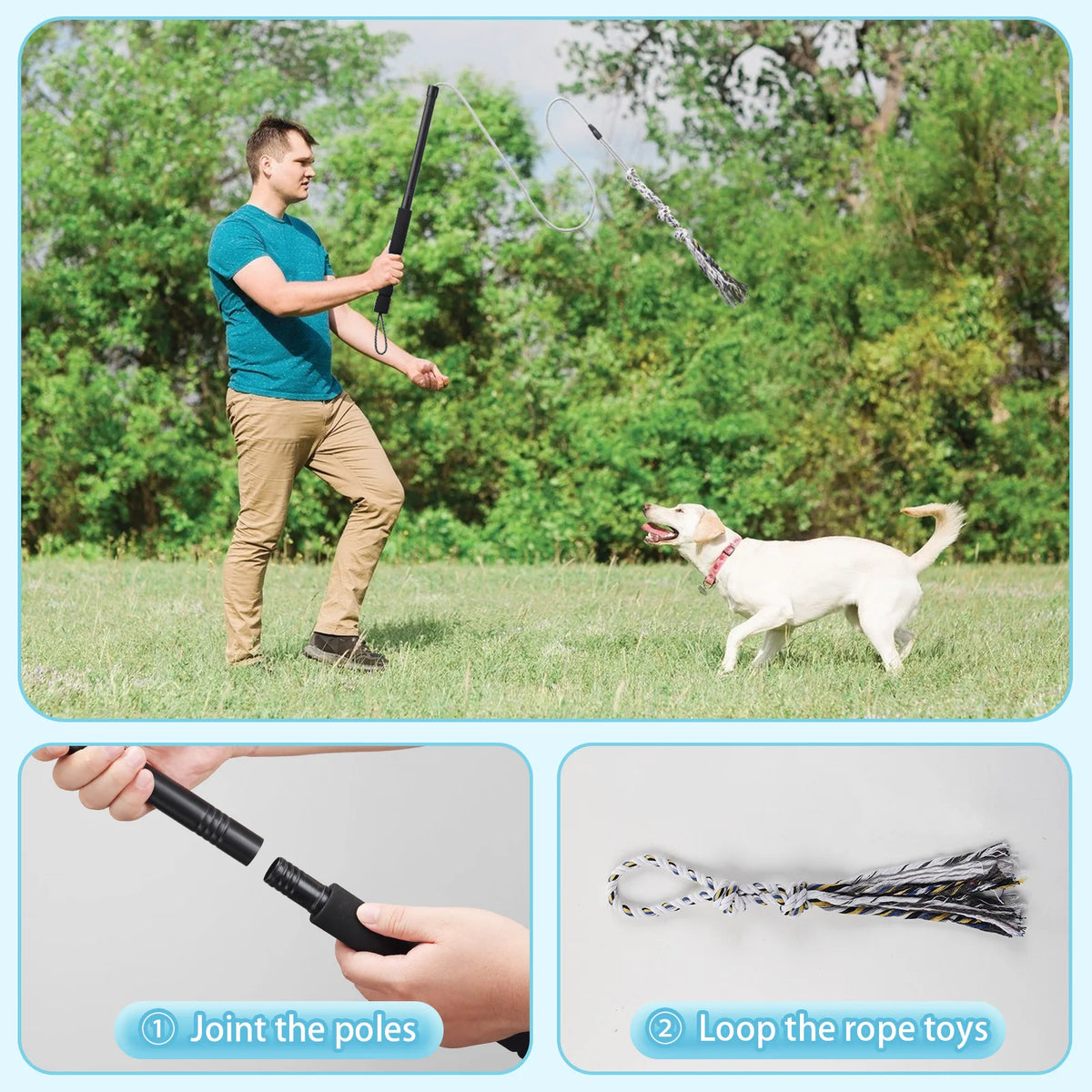 Interactive Dog Flirt Exercise Pole