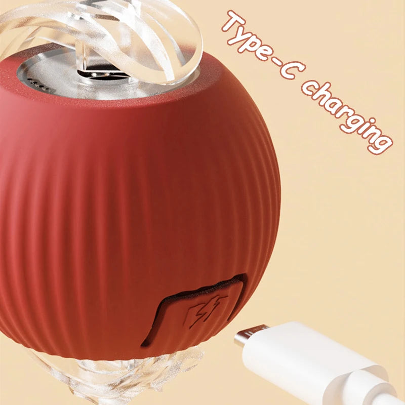 Rechargeable Rolling Cat Tail Ball