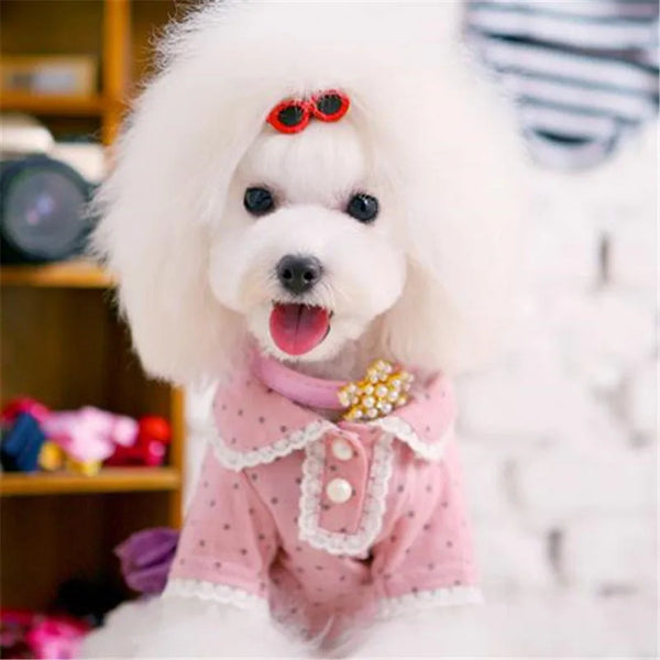 Heart Sunglasses Pet Hair Clips