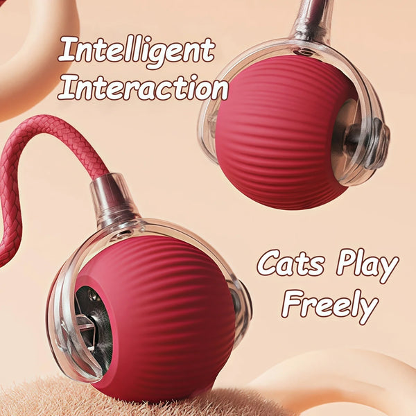 Rechargeable Rolling Cat Tail Ball