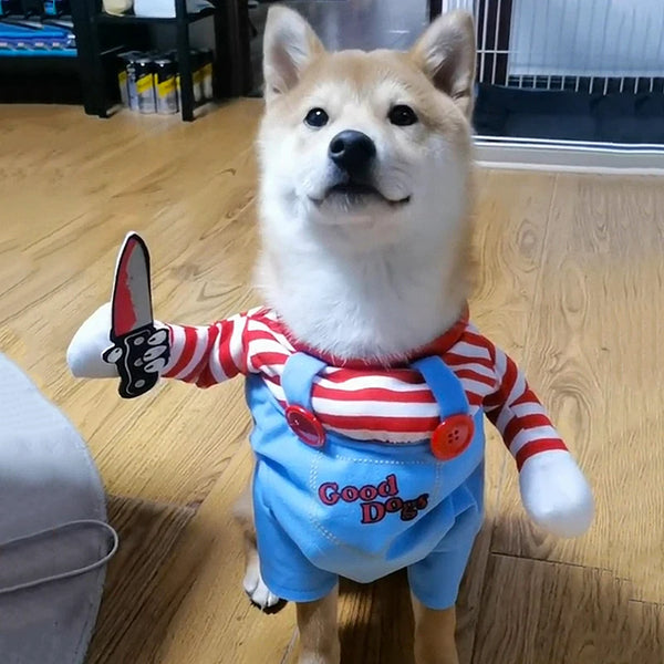 Striped Halloween Dog Costume Outfit