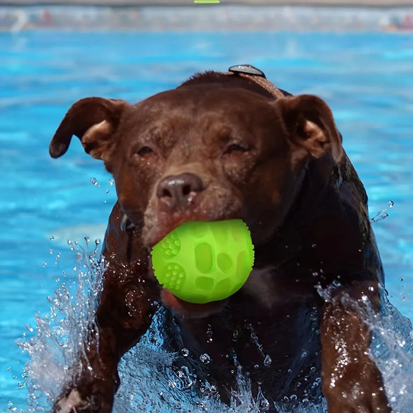 Glow In Dark Squeaky Ball