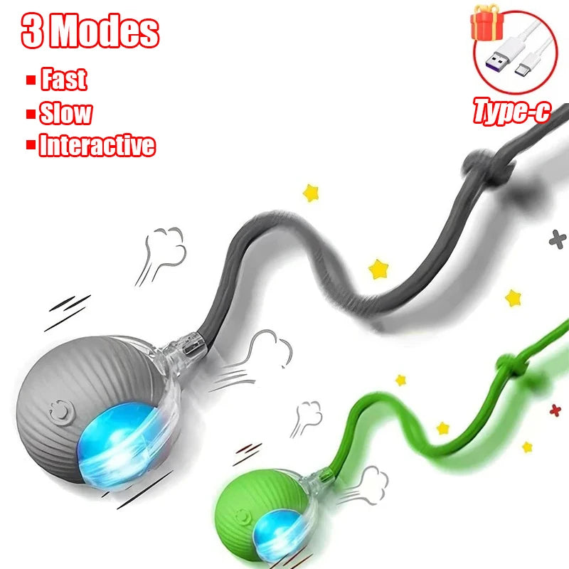 Rechargeable Rolling Cat Tail Ball