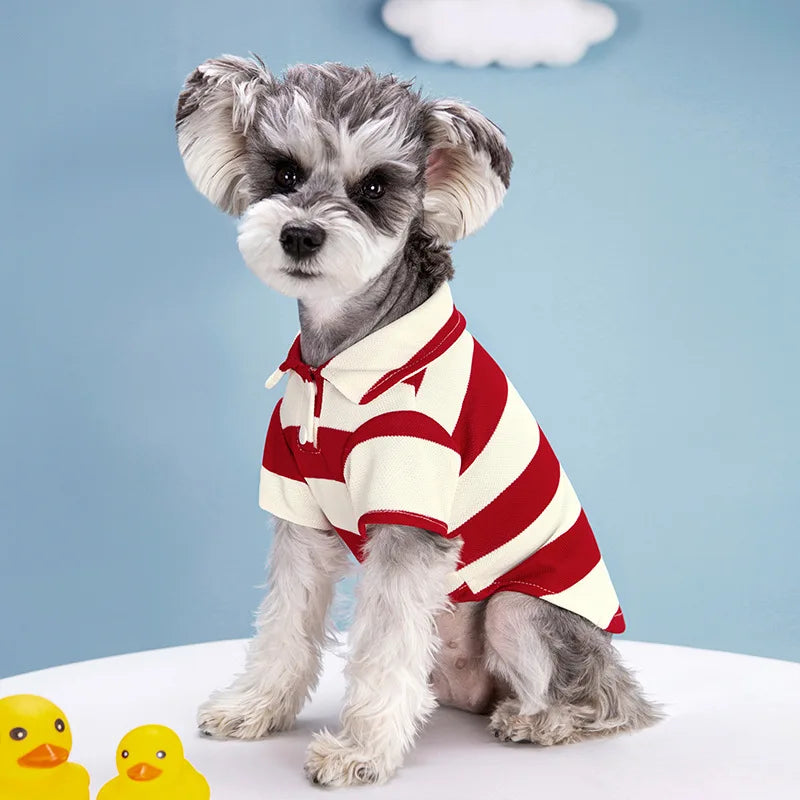 Striped Summer Dog Polo Shirt