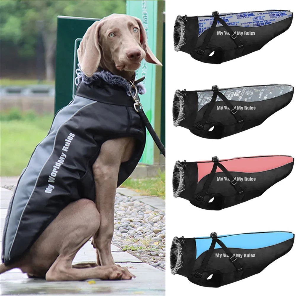 Insulated Fur Collar Dog Jacket