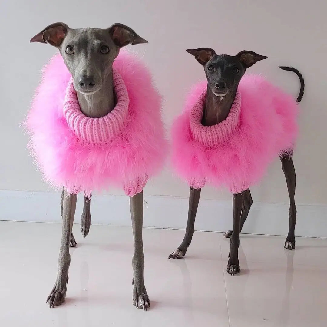 Cozy Cotton Party Dog Sweater